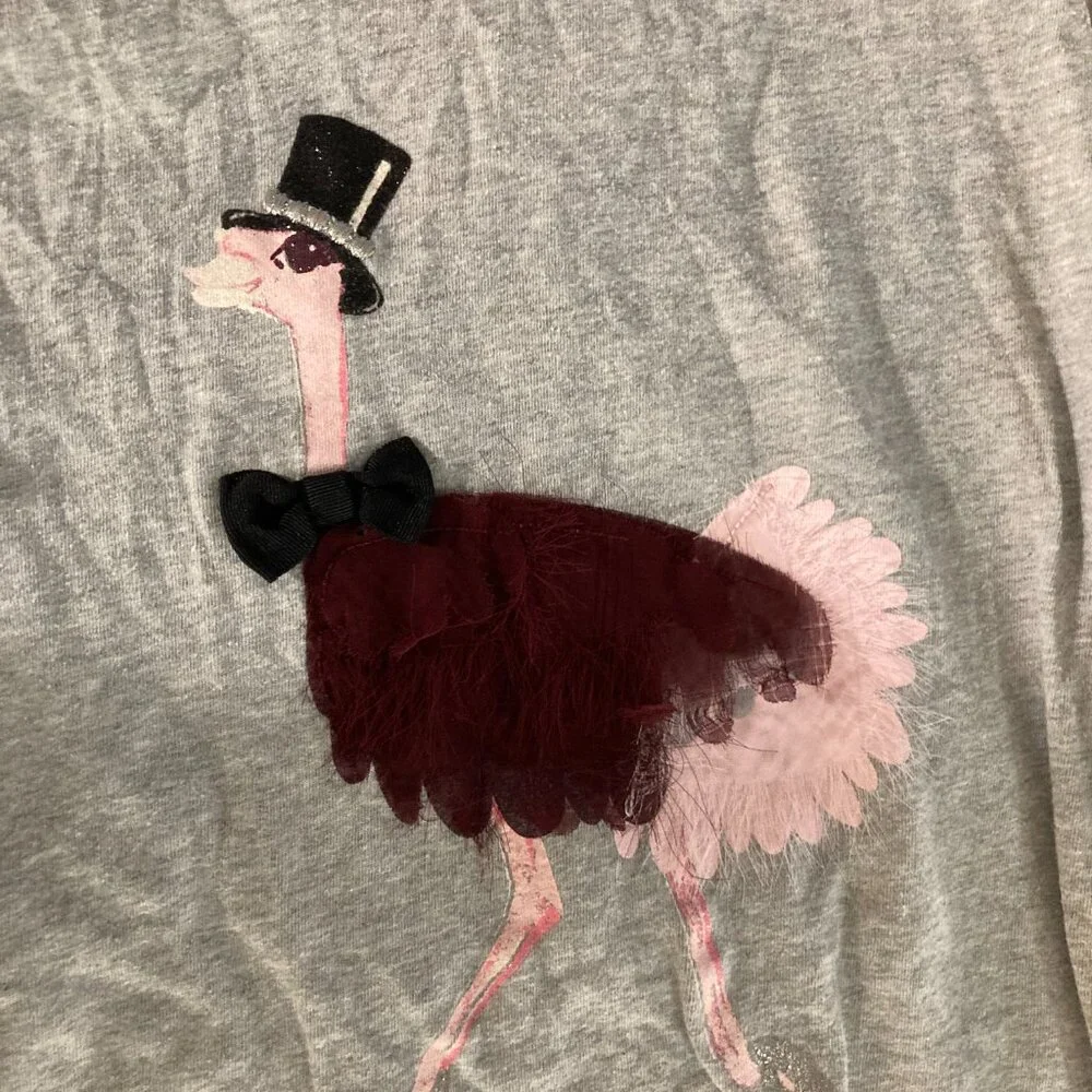 Gymboree Gray Long Sleeve T Shirt 12 Ostrich Top Hat Graphic Tulle Detail GUC